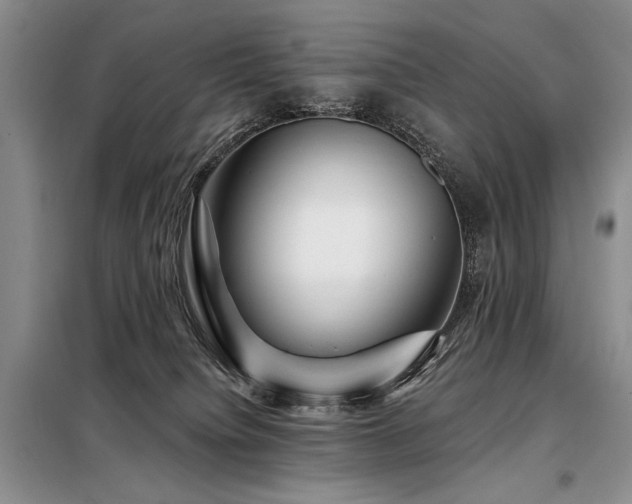 X0000098130084200804171532