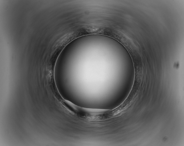 X0000098130085200804171532