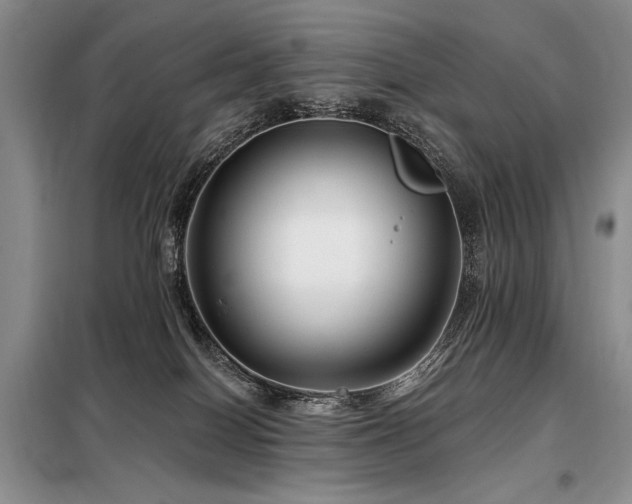 X0000098130086200804171532