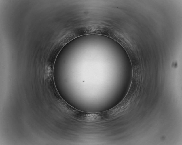 X0000098130087200804171532