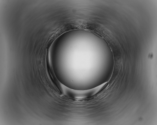 X0000098130088200804171532