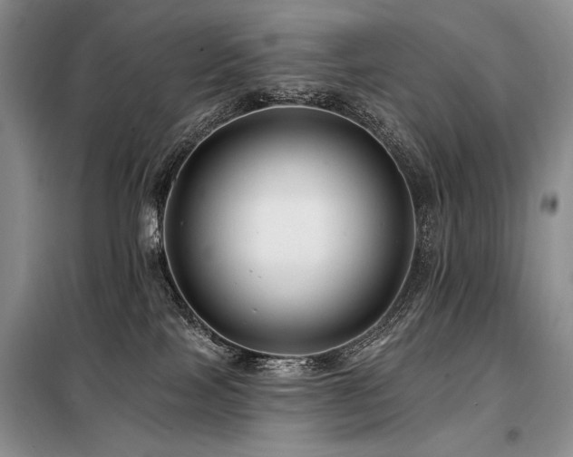 X0000098130089200804171532