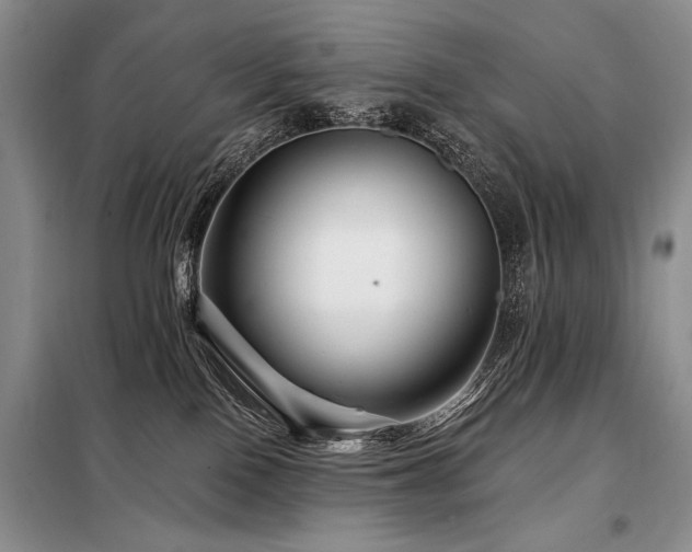 X0000098130090200804171532