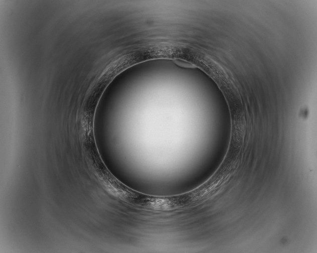 X0000098130091200804171532