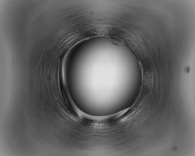 X0000098130092200804171532