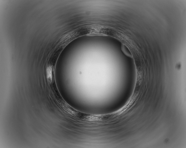 X0000098130094200804171533