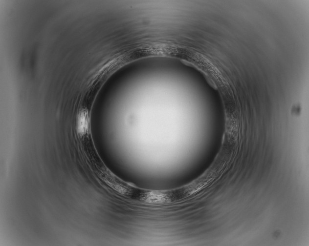 X0000098130095200804171533