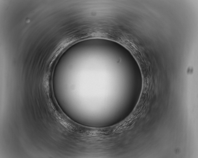 X0000098130098200804171532