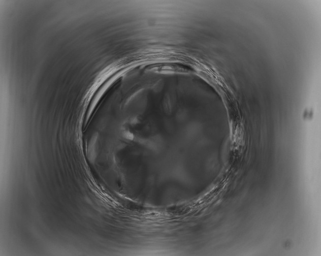 X0000098130099200804171532