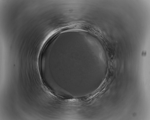 X0000098130100200804171532