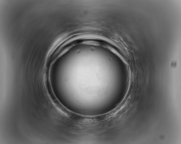 X0000098130101200804171532
