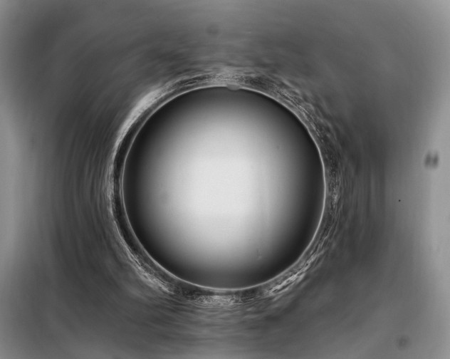 X0000098130102200804171532