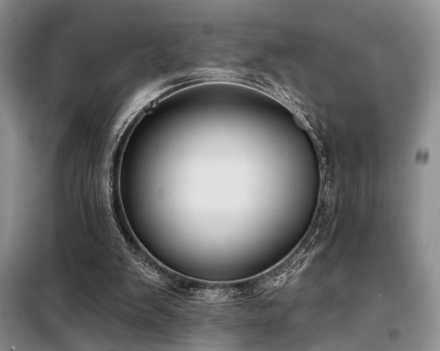 X0000098130103200804171532