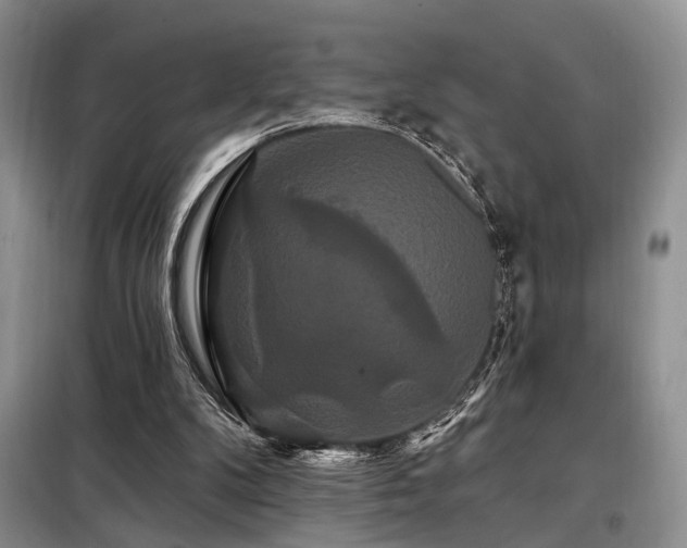 X0000098130104200804171532