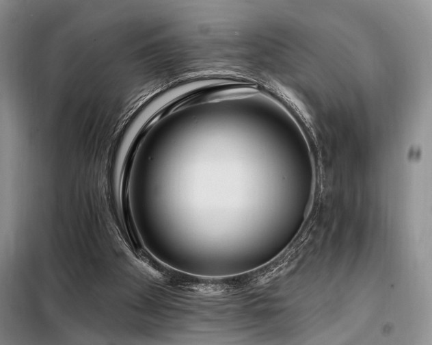 X0000098130105200804171532