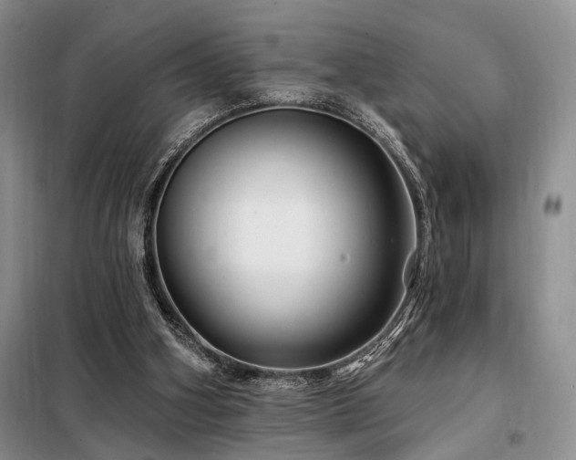 X0000098130106200804171532