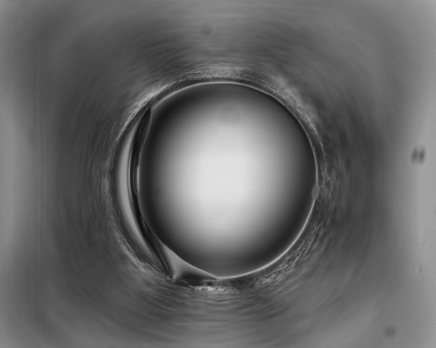 X0000098130107200804171532