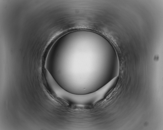 X0000098130108200804171532