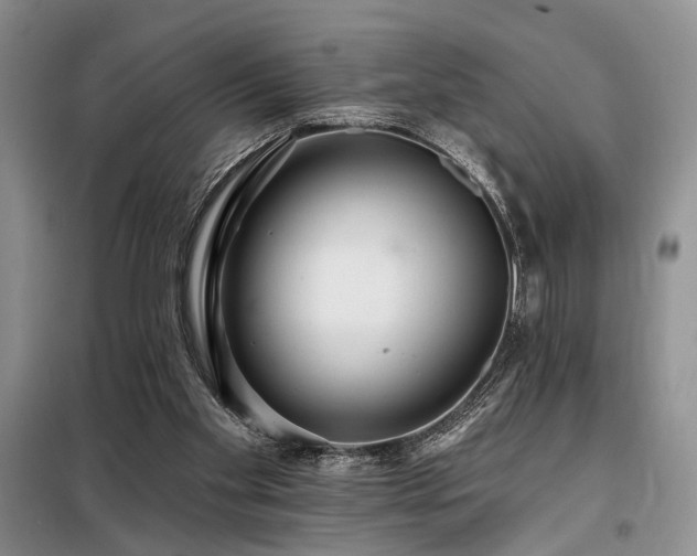 X0000098130109200804171532