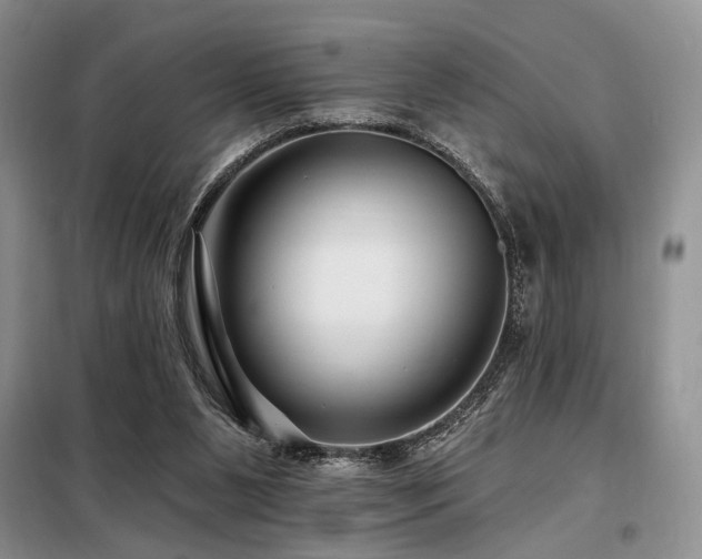 X0000098130111200804171532