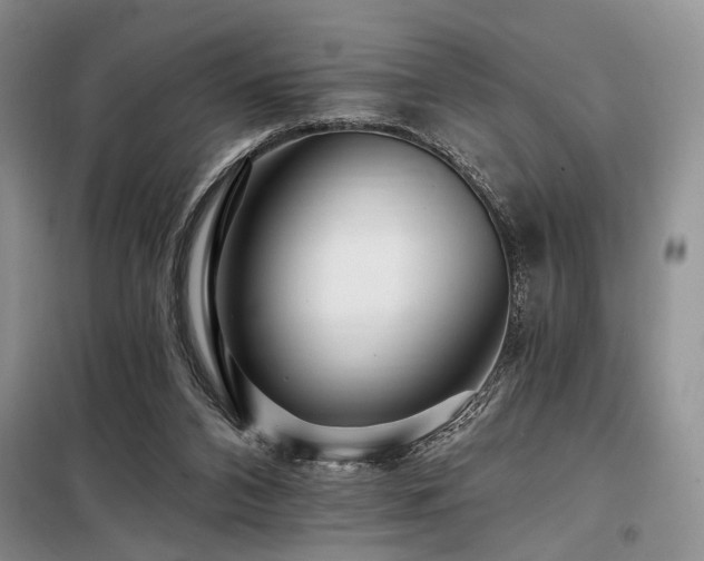 X0000098130112200804171532