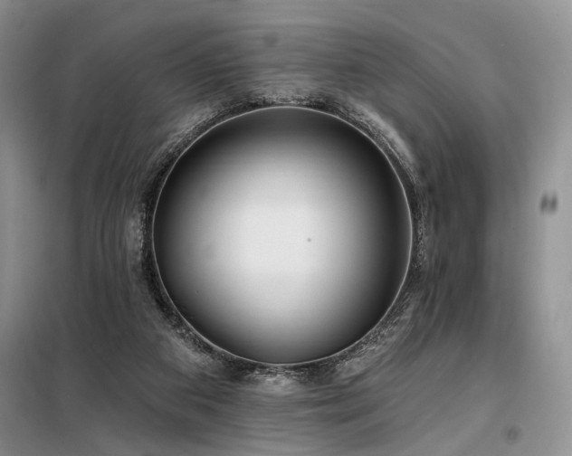 X0000098130113200804171532