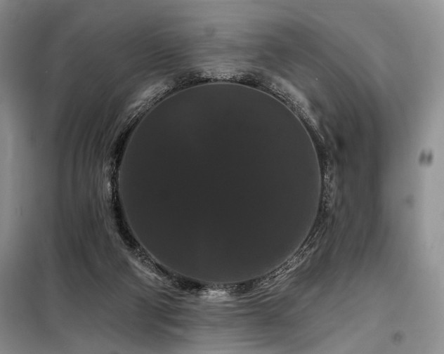 X0000098130114200804171532