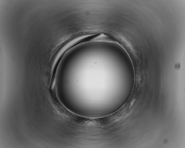 X0000098130115200804171532