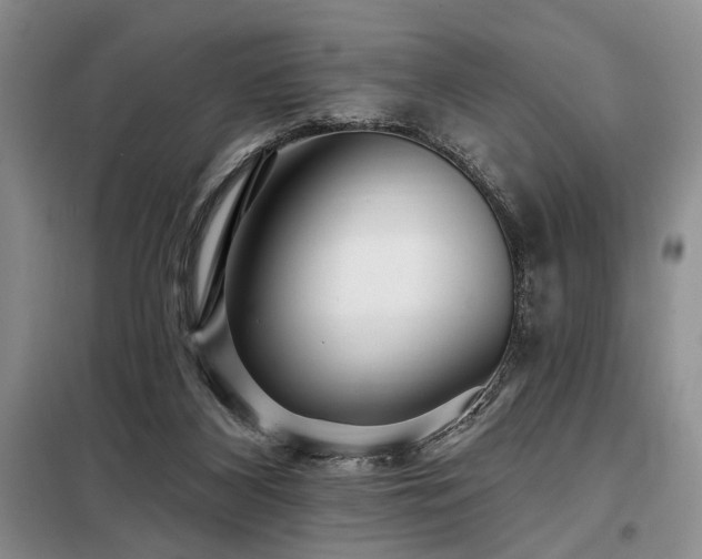 X0000098130116200804171532