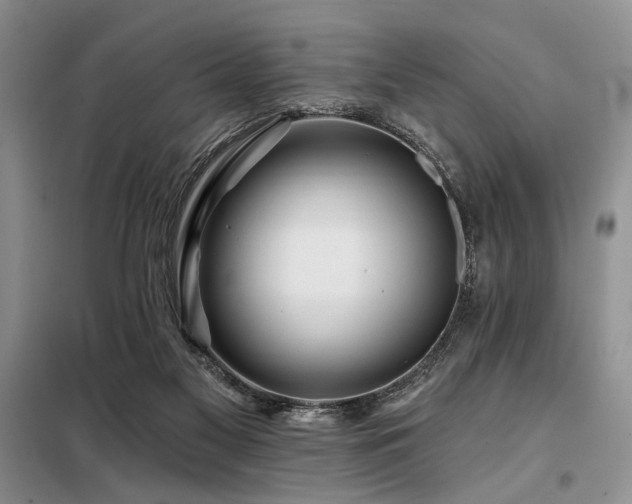 X0000098130117200804171532