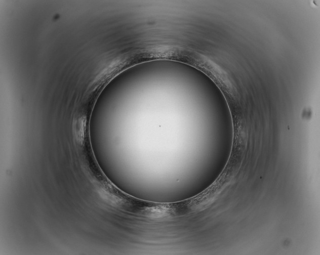 X0000098130118200804171532