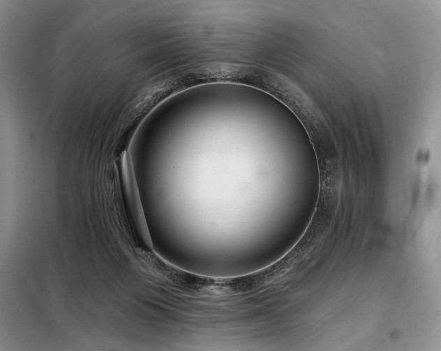 X0000098130119200804171531