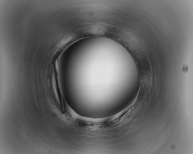 X0000098130120200804171531