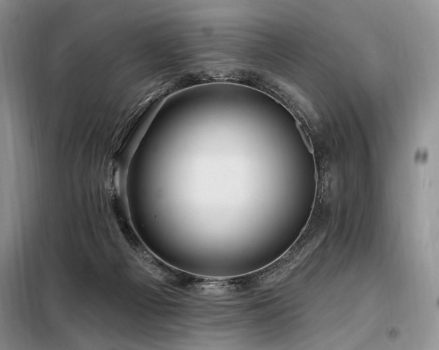 X0000098130121200804171531