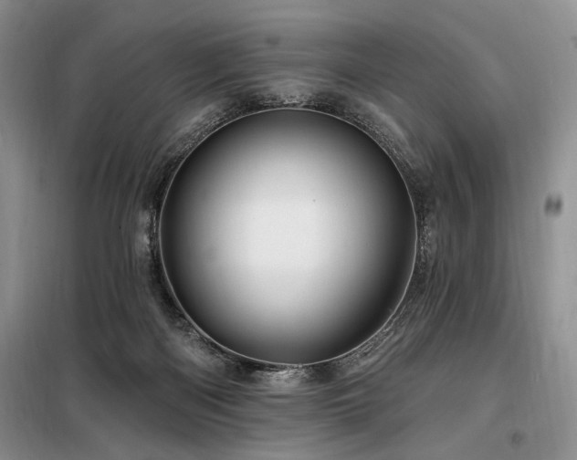 X0000098130122200804171531