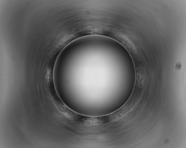 X0000098130123200804171531