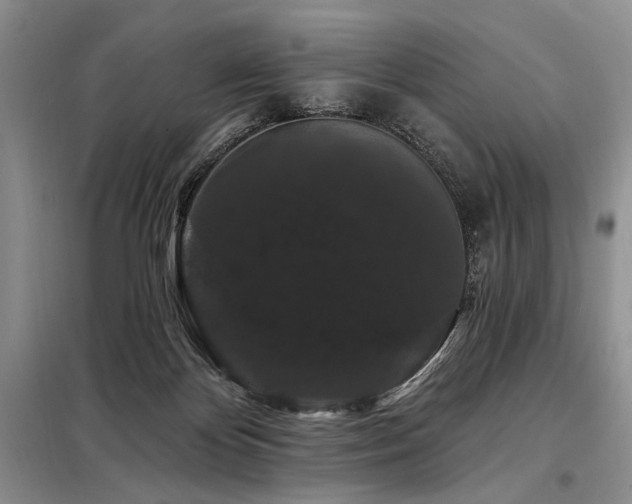 X0000098130124200804171531