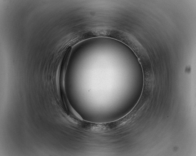 X0000098130125200804171531