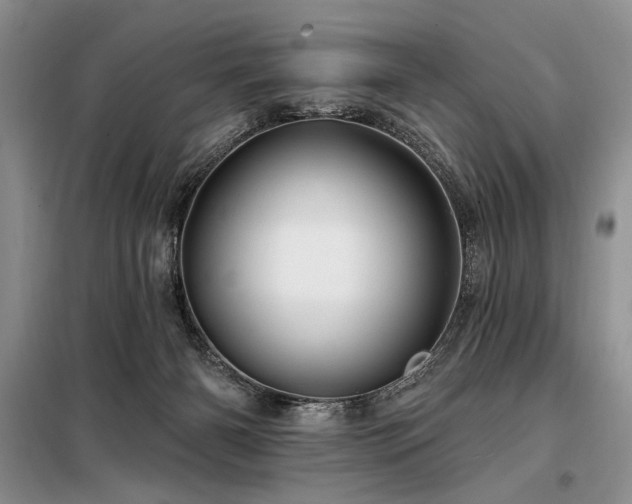 X0000098130126200804171531