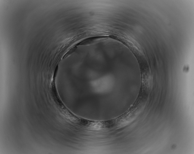 X0000098130127200804171531