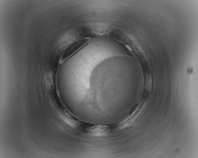 X0000098130128200804171531
