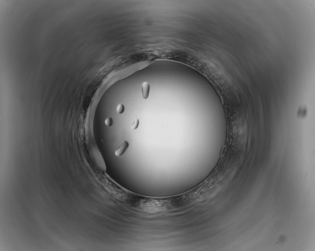 X0000098130129200804171531