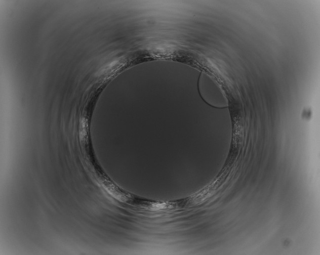 X0000098130130200804171531