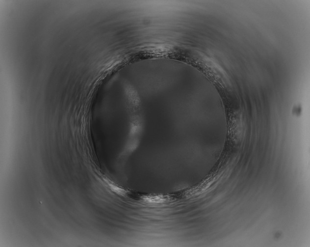 X0000098130131200804171531