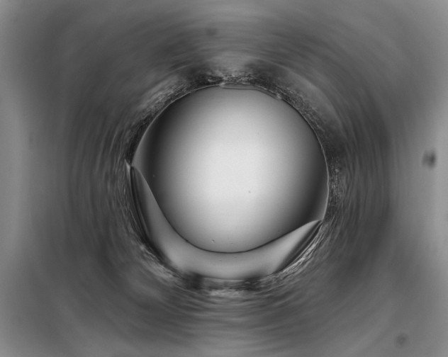 X0000098130132200804171531