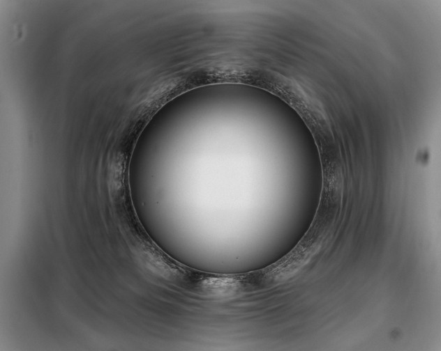 X0000098130133200804171531