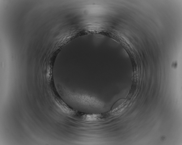 X0000098130134200804171531