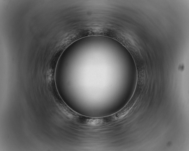 X0000098130135200804171531