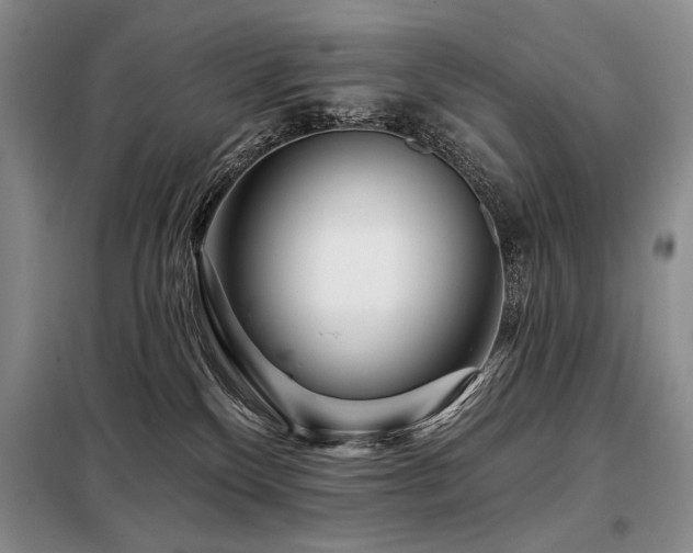 X0000098130136200804171531