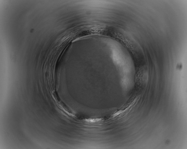 X0000098130137200804171531